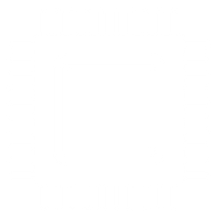 Icona microchip