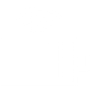 Icona ricarica wireless